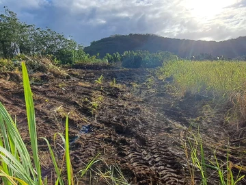 Agricultural Land