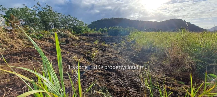 Agricultural Land For Sale In Cluny