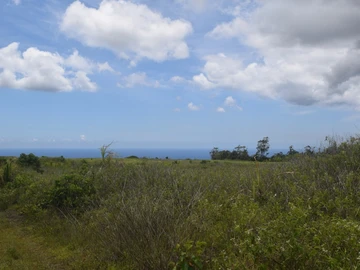 Agricultural Land